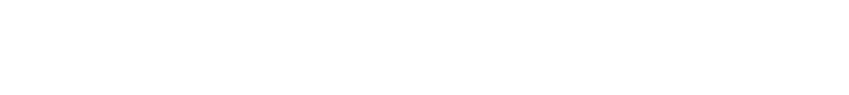 Bina Academy